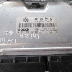 CENTRALITA VOLKSWAGEN  045906619BR 0281012318