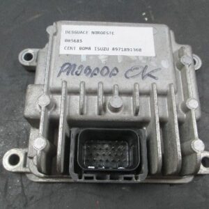 CENTRALITA BOMBA ISUZU 1.7 8971891362
