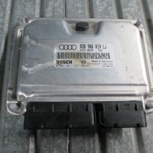 CENTRALITA ECU AUDI A4 B6 TDI 130 038906019LJ 0281011222