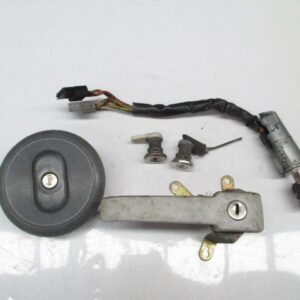 JUEGO DE BOMBINES COMPLETO RENAULT EXPRESS