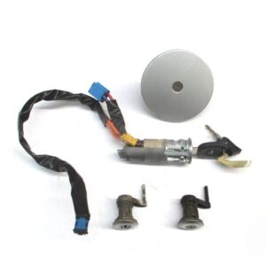 JUEGO DE BOMBINES PEUGEOT 206 2001