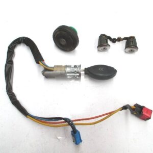 JUEGO DE BOMBINES CITROEN XSARA PICASSO FASE 1