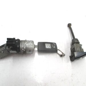 JUAGO DE BOMBINES CITROEN C4